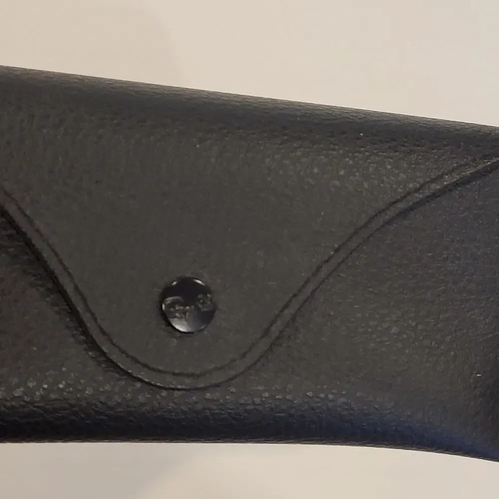 Ray-Ban Ray Ban Sunglasses Eyeglasses faux leather semisoft black case 212